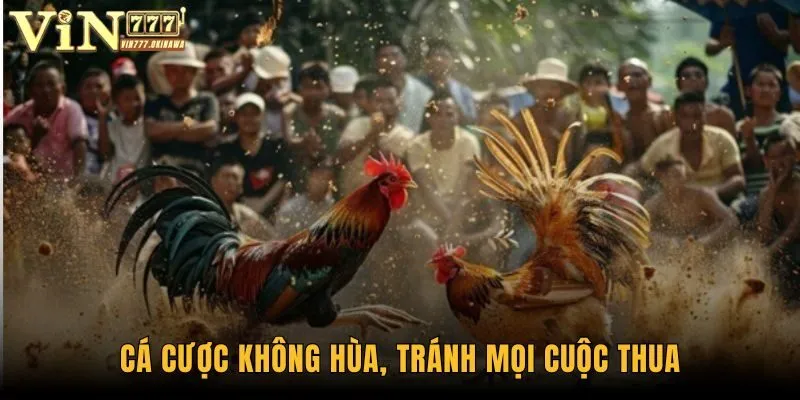 Gà Chọi Đòn - Siêu Phẩm Cá Độ Cực Hot Trong Năm 2025 3 Cá cược không hùa, tránh mọi cuộc thua