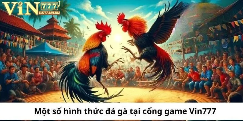 ĐÁ GÀ VIN777 2 Tổng hợp các loại hình đá gà Vin777 được ưa chuộng