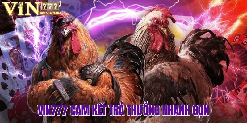 ĐÁ GÀ VIN777 4 Đá gà Vin777 cam kết thanh toán nhanh chóng đến từng hội viên