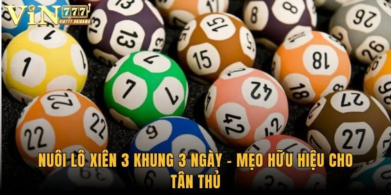 Mẹo Đánh Lô Xiên 3 - Các Thông Tin Hữu Ích Cho Hội Viên 2 Nuôi lô xiên 3 khung 3 ngày - mẹo hữu hiệu cho tân thủ